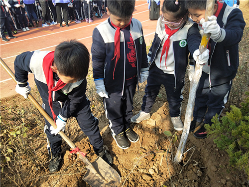樹恩小學生參加植樹活動